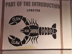 -红盔甲·小龙虾(定西路店)