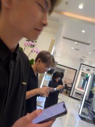 -YESIDO椰岛造型