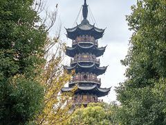 -龙华素斋(龙华路店)