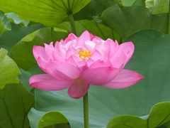 -沐仙湖湿地公园