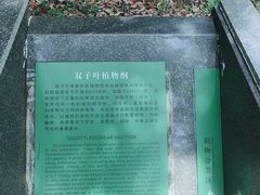 -杭州植物园