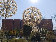 -呈贡滇池生态湿地公园