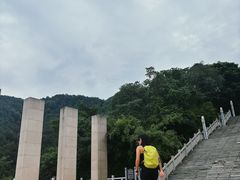 -铁山坪森林公园