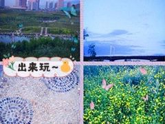 -小绿谷公园