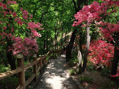 -西泰山风景区