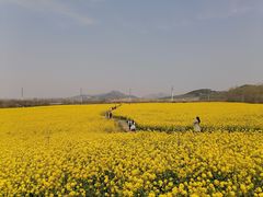 -西海岸生态观光园
