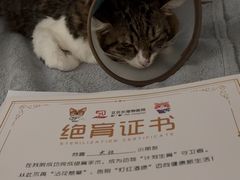 -艾贝尔宠物医院 ·中兽医·宠保定点(北门桥店)