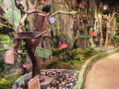 -正佳雨林生态植物园