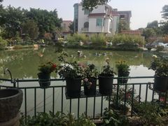 -龙回山庄