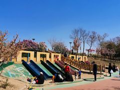 -大兴滨河森林公园