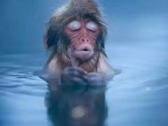 -兴芮温泉度假区