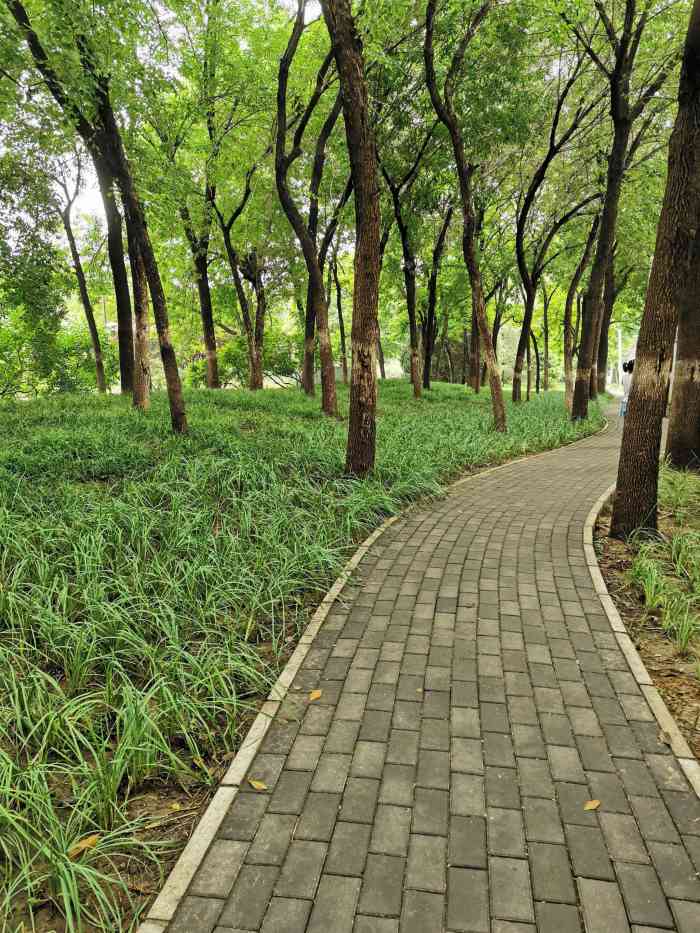 碧水风荷公园-"碧水风荷公园位于小营桥西北角,建于二十世.