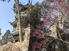 -无锡梅园公园