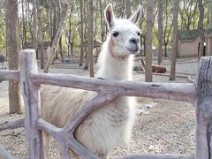 -昆山城市生态森林公园