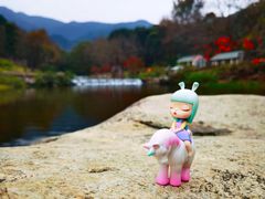 -广州市石门国家森林公园