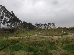 -三圣花乡旅游区