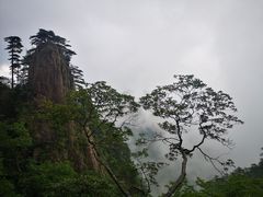 -黄山风景区