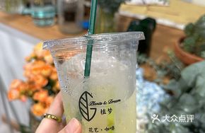 Sour-Sweet Lemonade