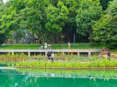 -水濂山森林公园