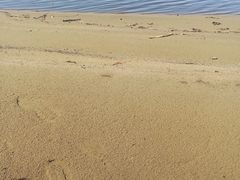 -呼兰河口湿地公园