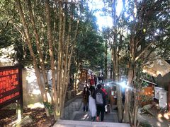 -普陀山风景区-佛顶山
