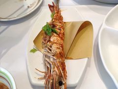 -开海·红岛海鲜虾水饺(石老人店)