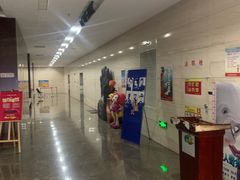 -天幕新彩云国际影城(激光巨幕店)