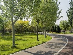 -武清南湖绿博园