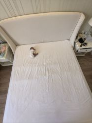 -皇家月府月子中心(沈阳店)