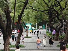 -荔湾湖公园