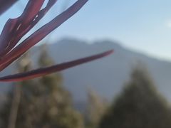 -妙峰山风景名胜区