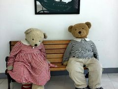 android_upload_pic-济州岛泰迪熊博物馆