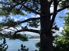 -柱状节理带