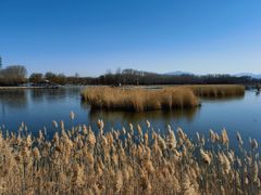 -野鸭湖国家湿地公园