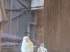 -悟饮门市景店