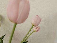 -奈诺甜品·生日蛋糕·下午茶(古城店)