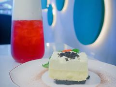 -飞行喵MR PILOT|猫舍·猫咖(静安大融城店)