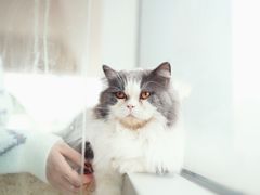 -Catmate·猫肥家润(金润铂宫店)
