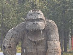 -嘉北郊野公园