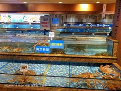 -鸿港海鲜批发市场