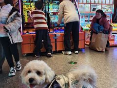 -永旺梦乐城(金银潭店)