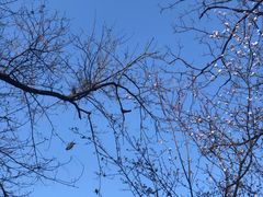 -上海市龙华烈士陵园