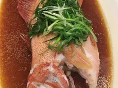 -金翠皇宫粤菜·点心·海鲜(科技园店)