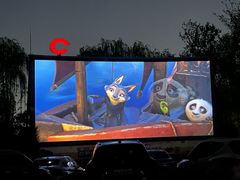 -枫花园汽车电影院(朝阳公园店)