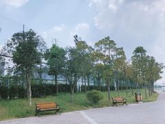 -游心咖啡(青山滨江店)