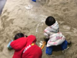 -恐龙探索乐园(磁器口店)