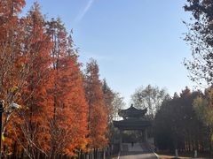 -梁鸿国家湿地公园