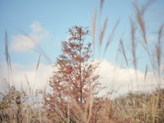 -山王坪喀斯特国家生态公园