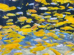 -成都浩海立方海洋公园