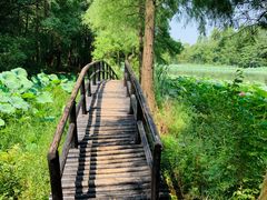 -东湖落雁景区